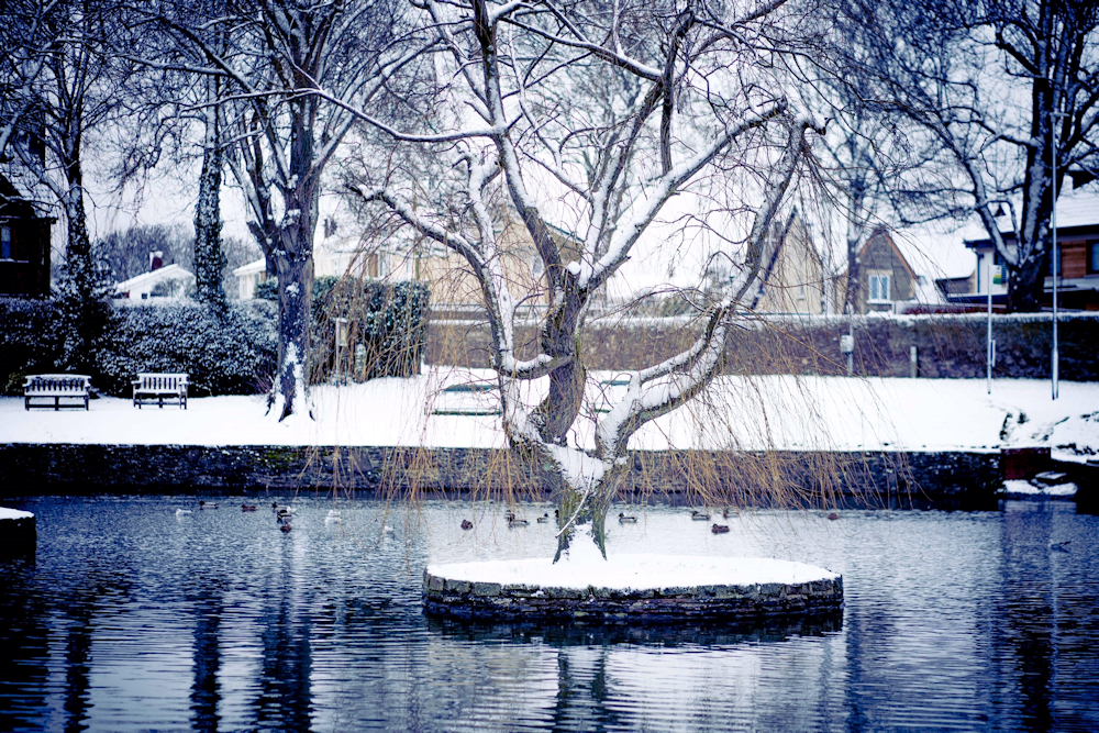 Duck Pond Winterbourne Parish Council