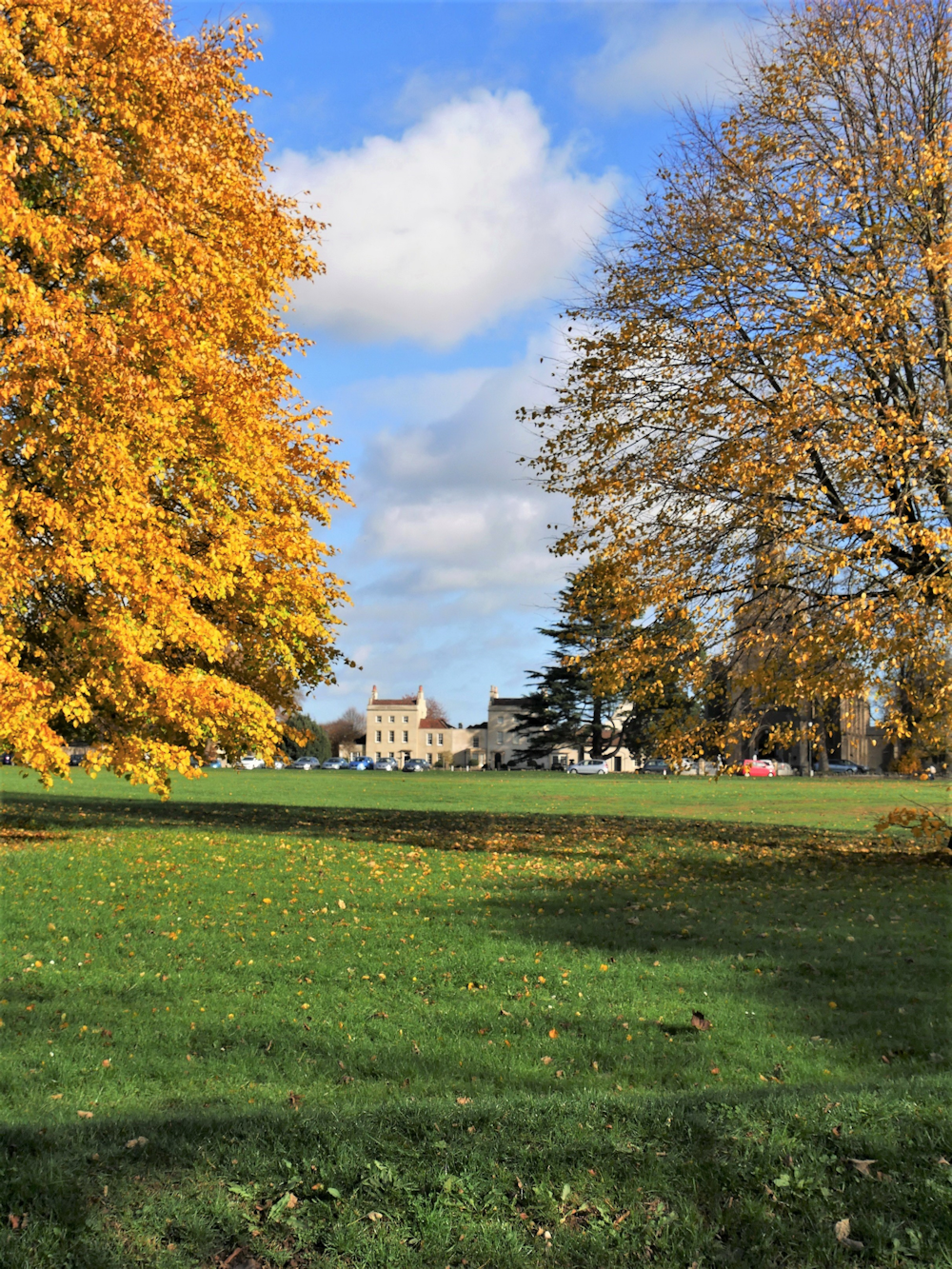 Frenchay Common Winterbourne Parish Council