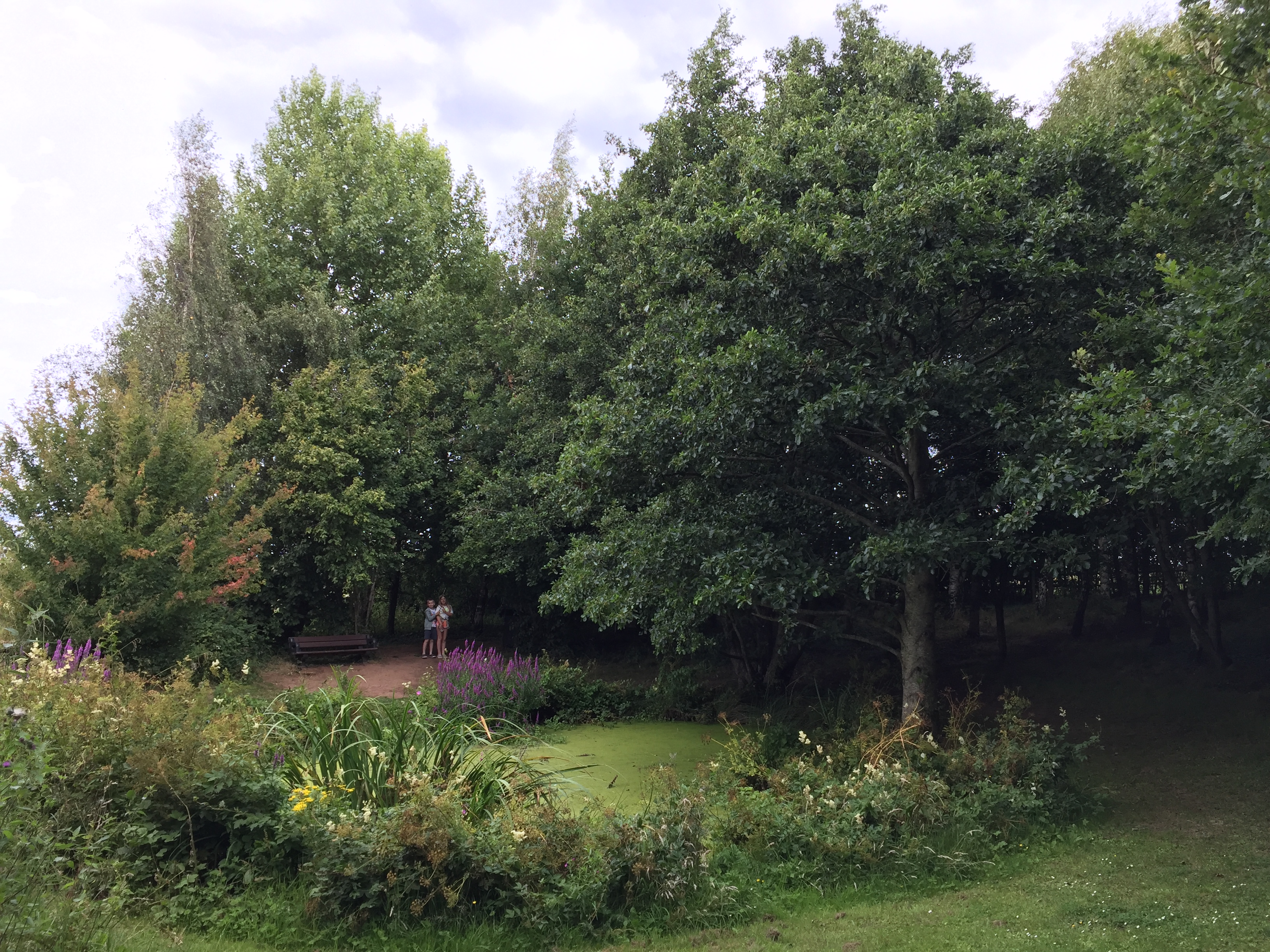 Winterbourne Parish Council Allotments