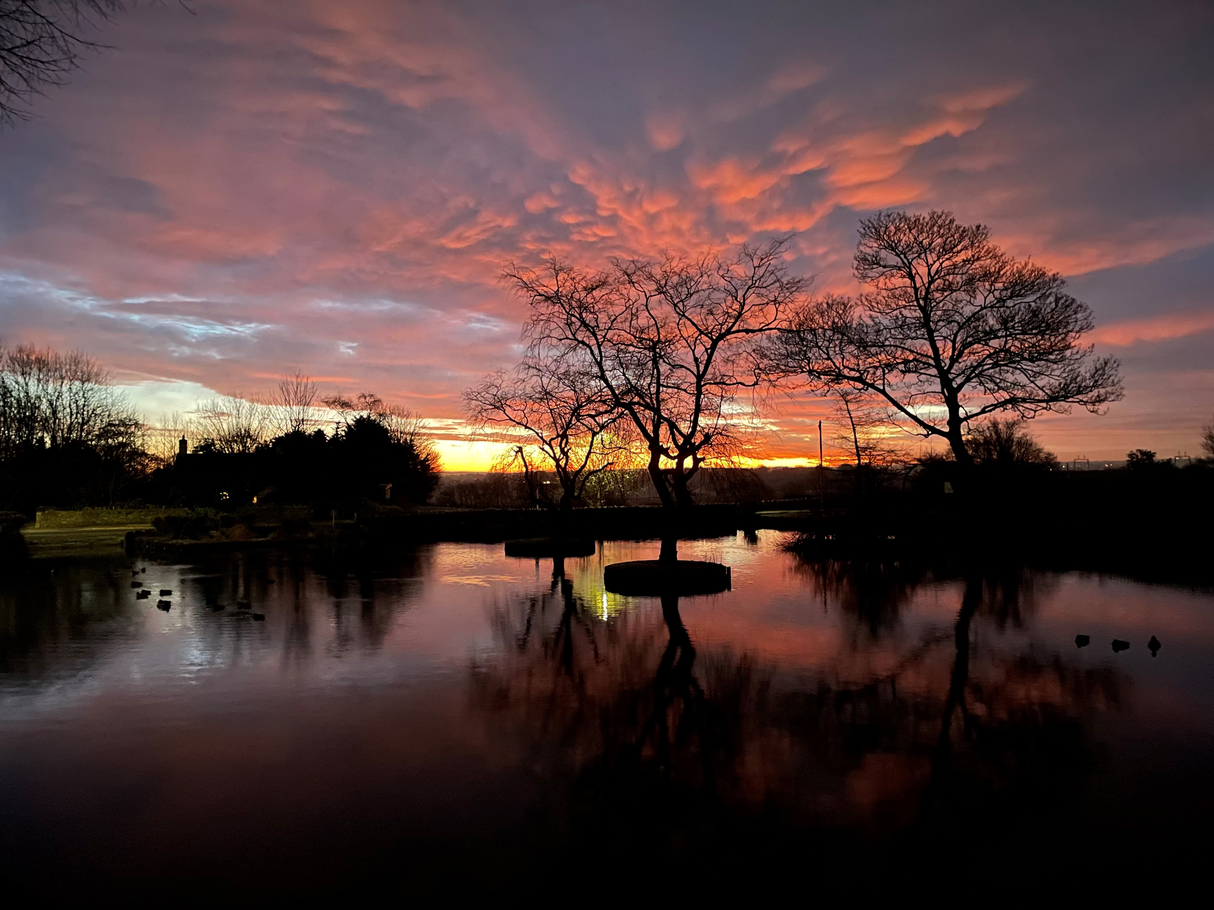 Gill Risdale, Duck Pond at sunrise WINNER Image