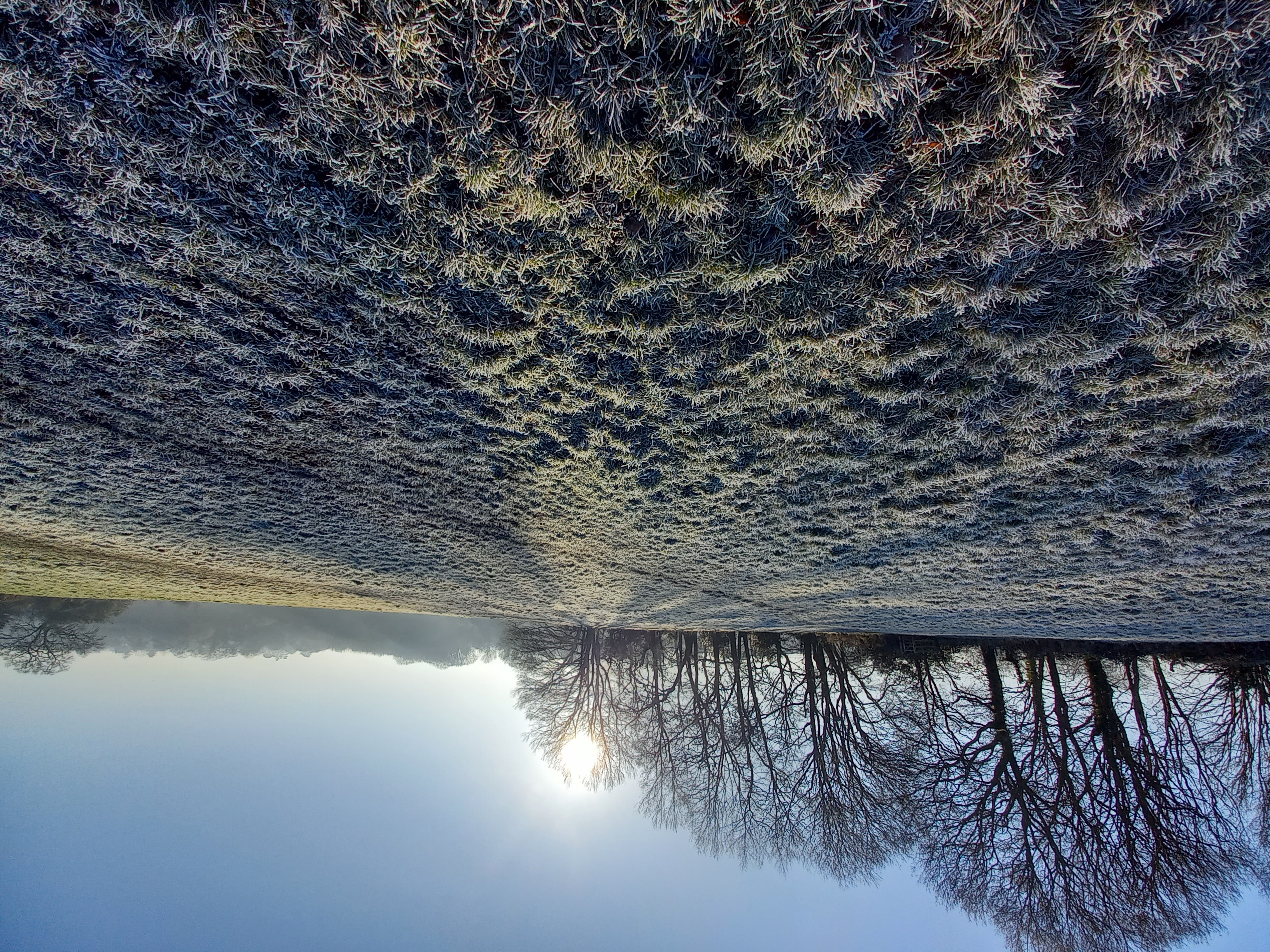 Stephanie Evans, Frenchay Common Image