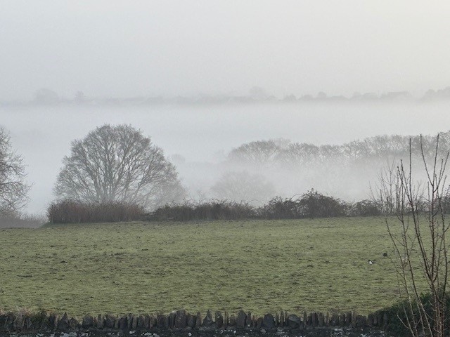 Sheelagh Mason, Hicks Common Image