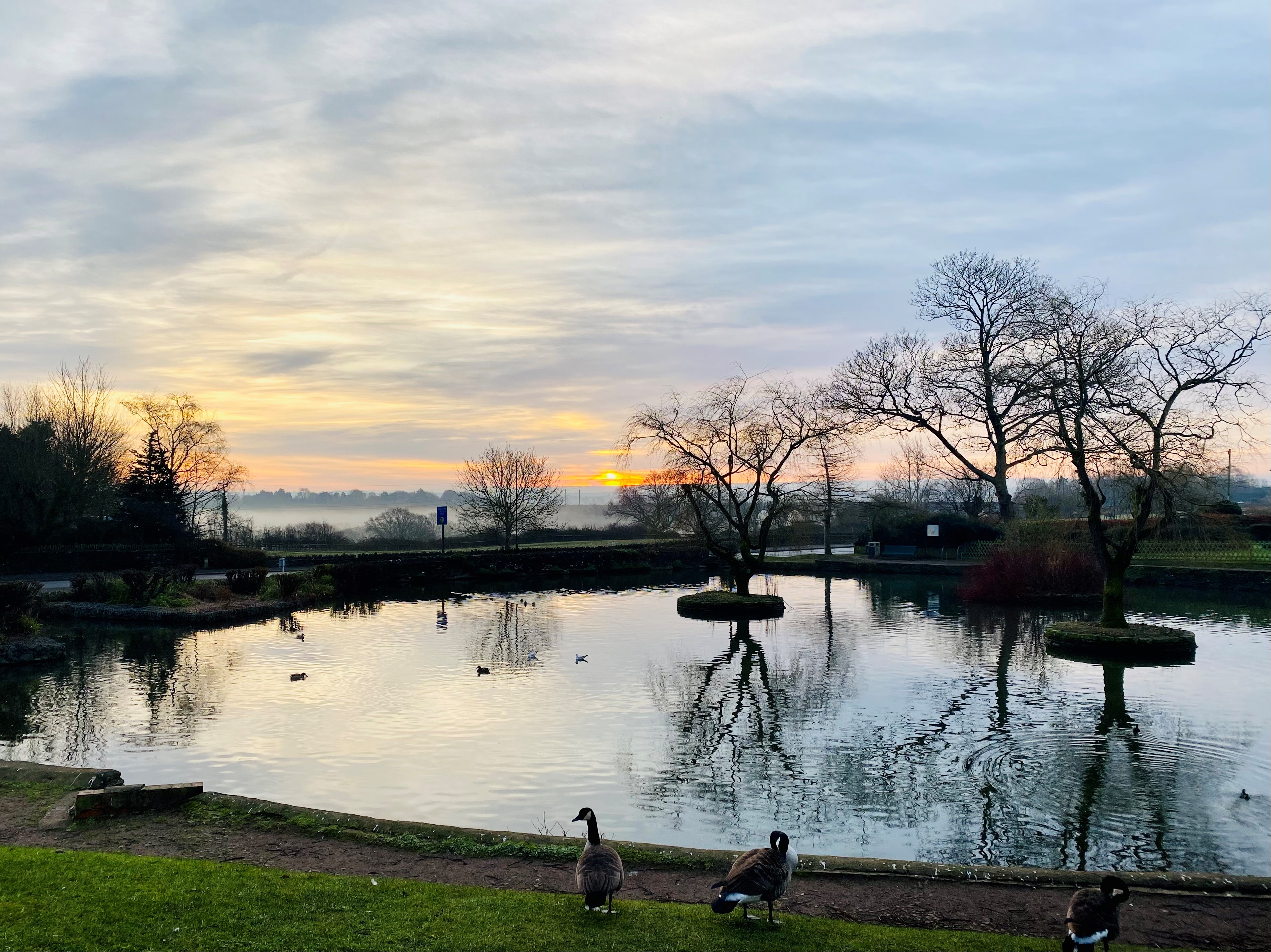 Lucy Brown, Duck Pond Image