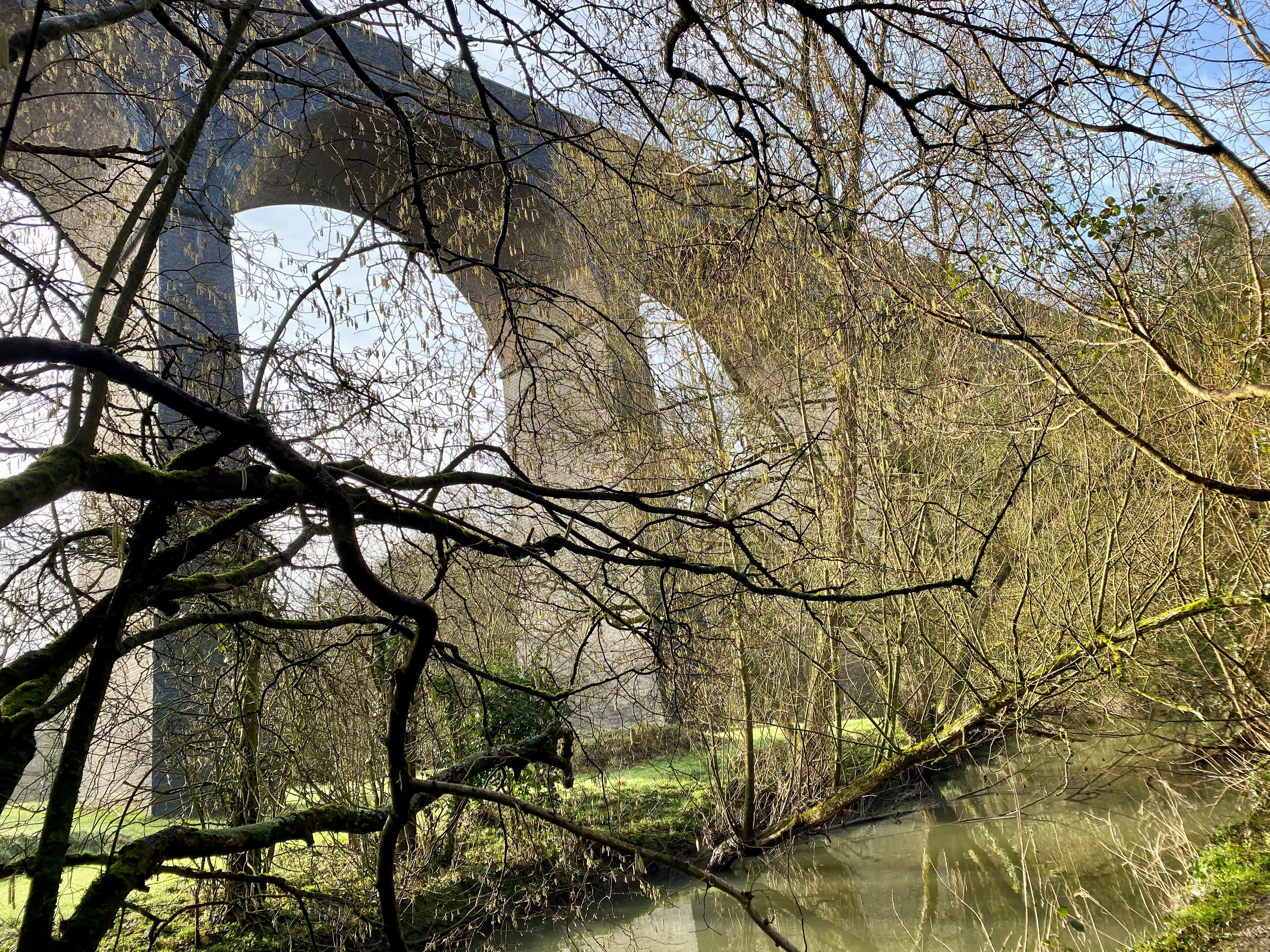 Lucy Brown, Huckford Quarry Image