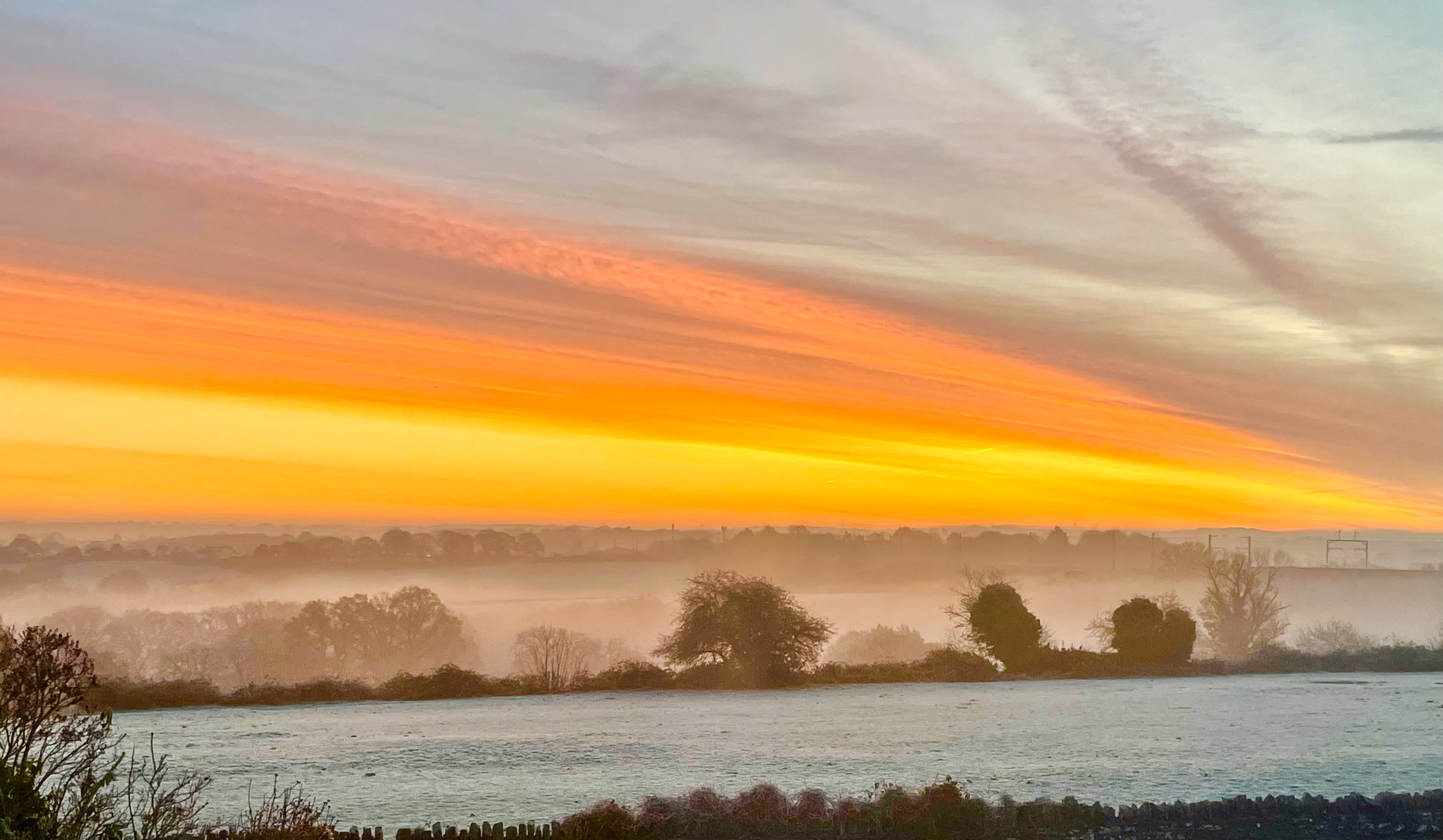 Stephanie Ward, Hicks Common Road Image