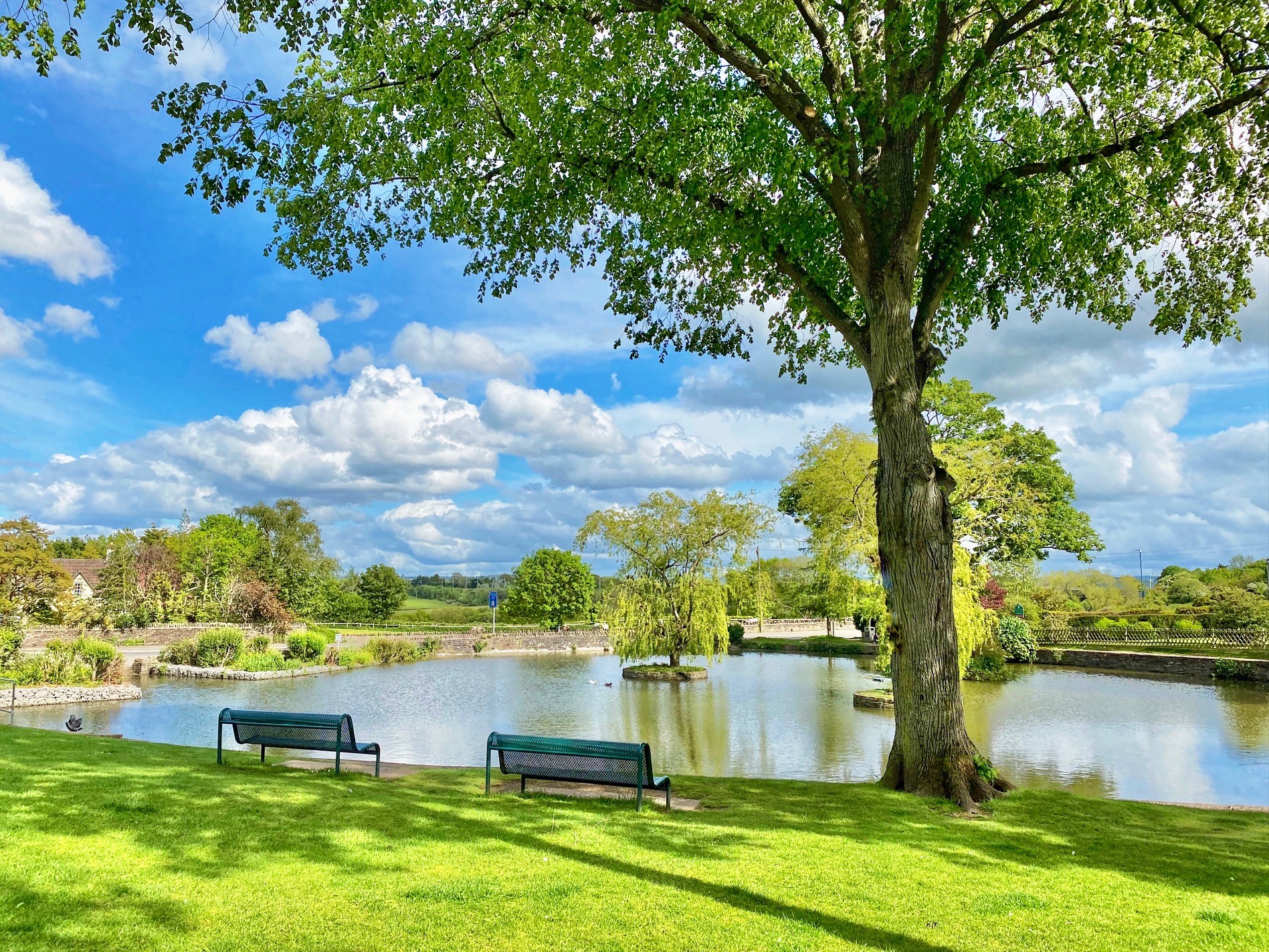 Photo 8 - Simon Goodwin - WINNER duck pond winterbourne