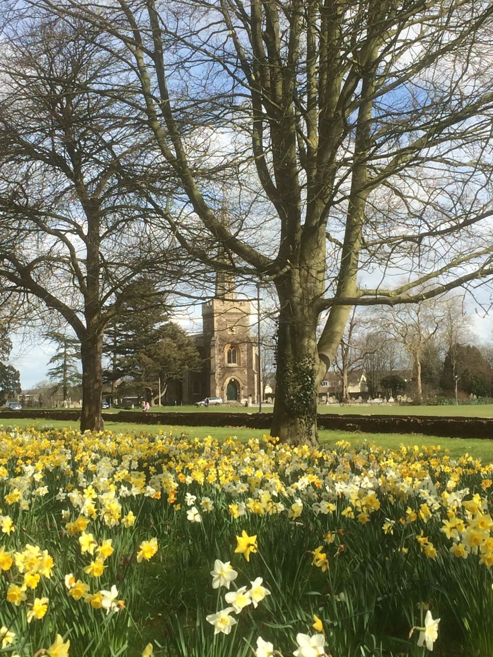 Photo 1 - WINNER - Adrian Collins frenchay church and daffodils