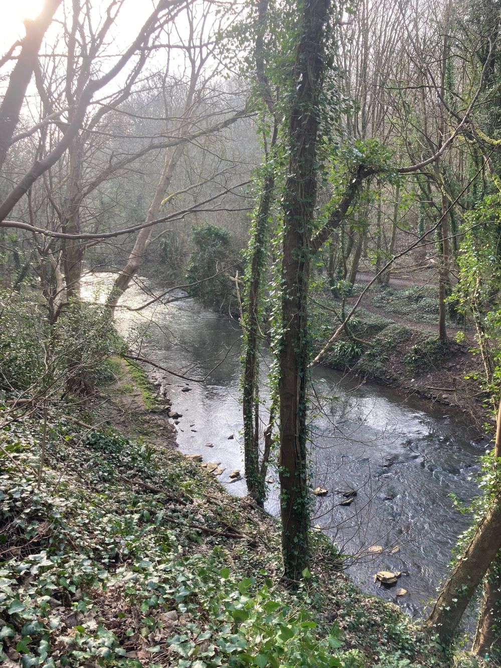 Photo 5 - Liz Windett river frome