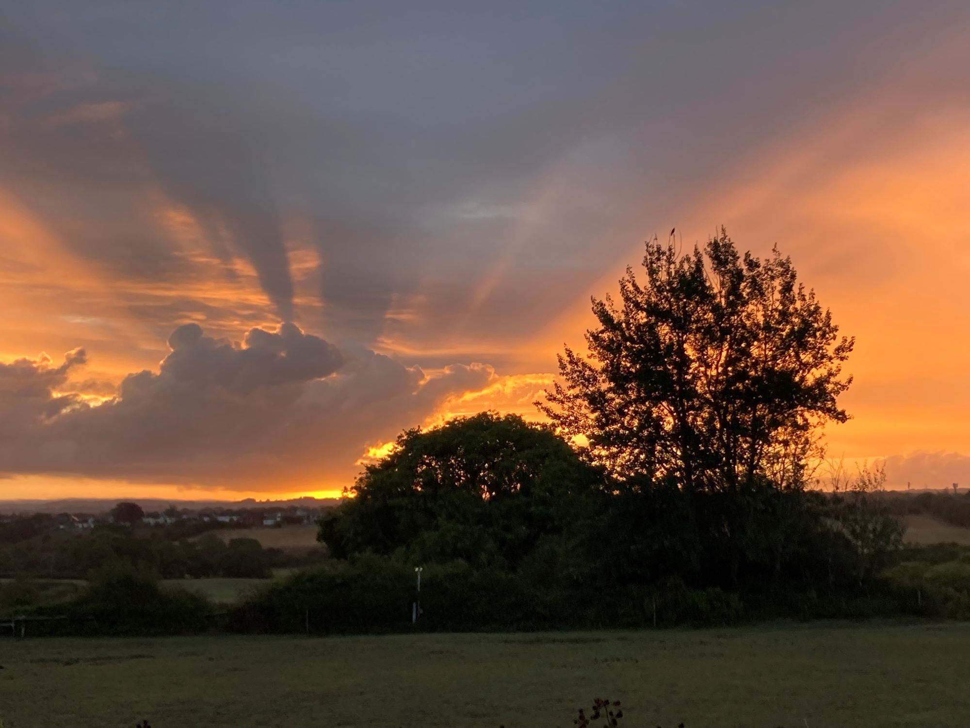 Photo 7 - Liz Windett - WINNER Winterbourne sunrise behind tree