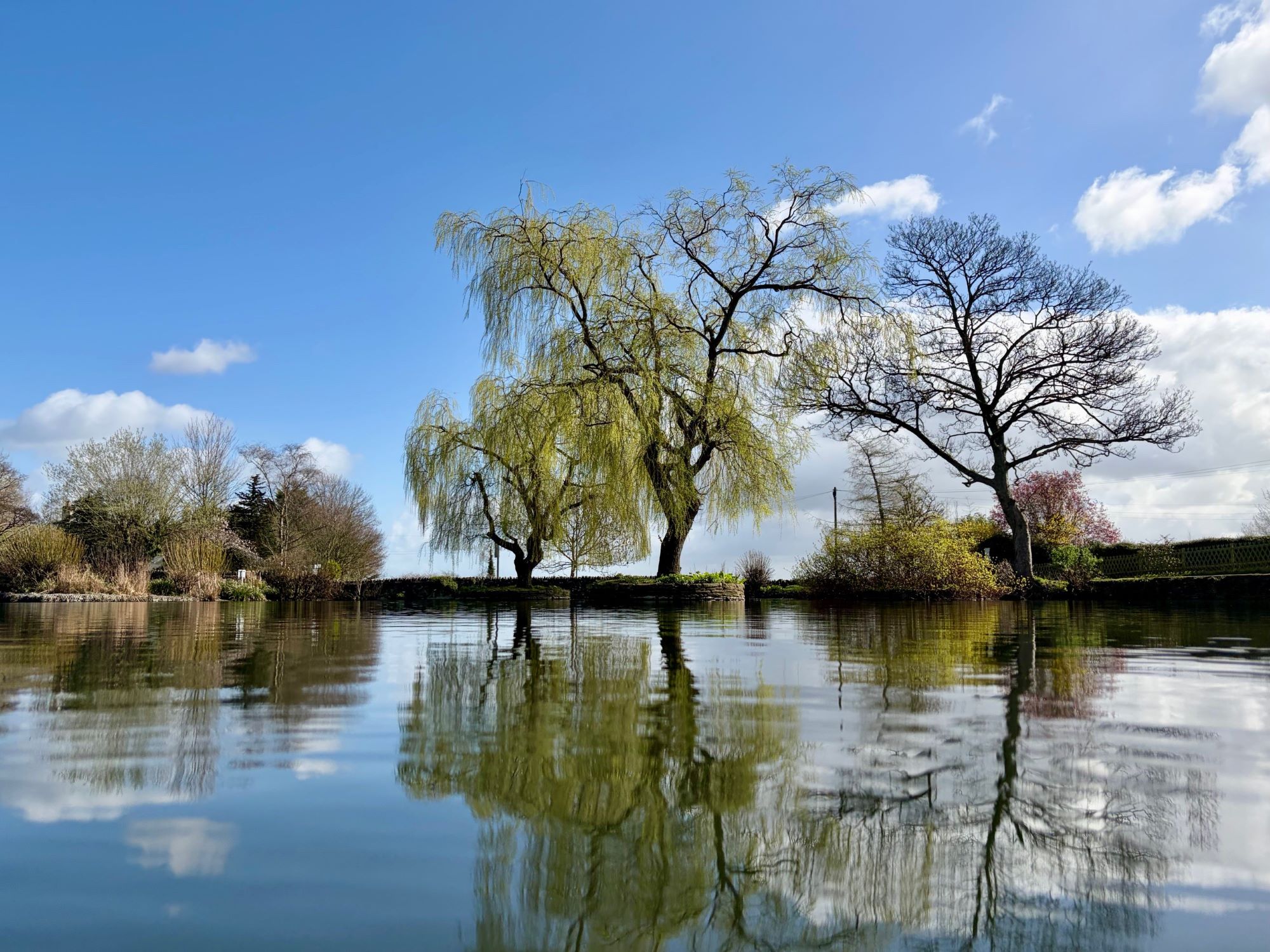 Simon Goodwin Winterbourne Duck Pond in Spring