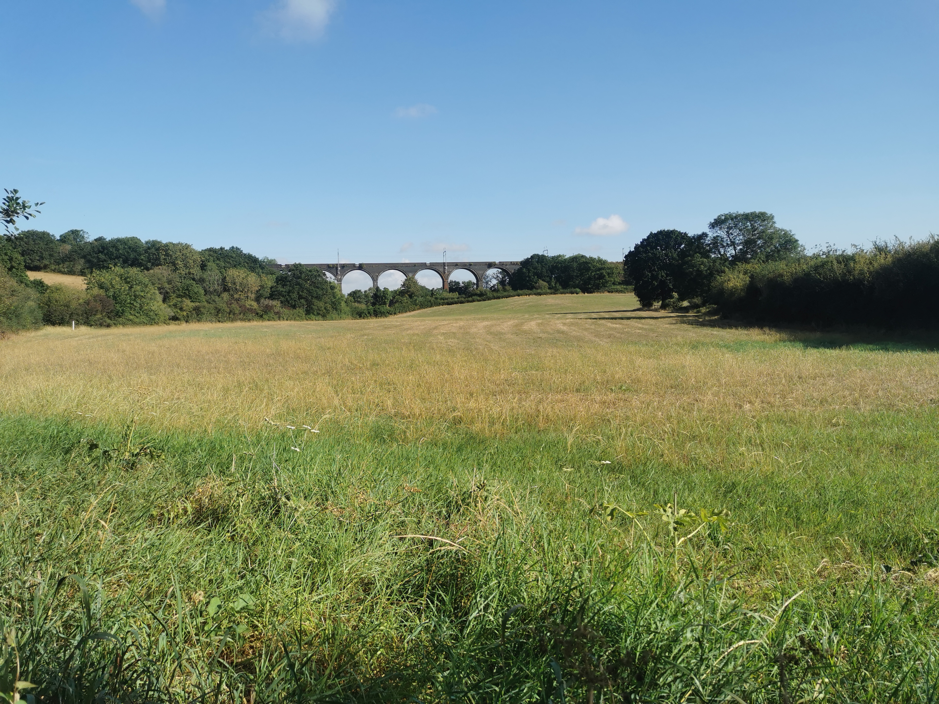 Vicky Zaffiro Viaduct - Quarry Barton