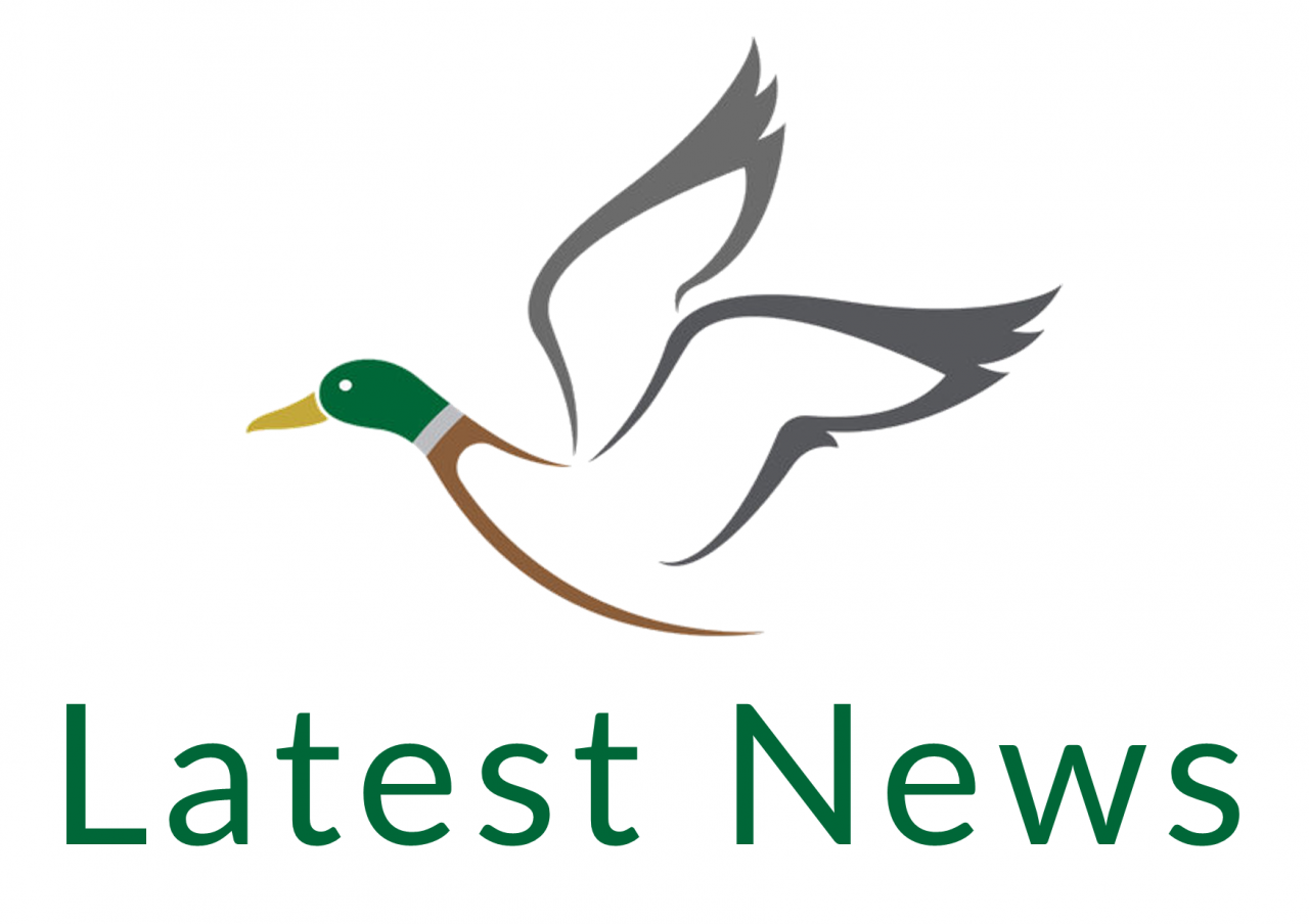 latest-news