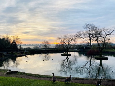 Walk from Winterbourne Duck Pond