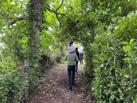 Hambrook Loop Walk